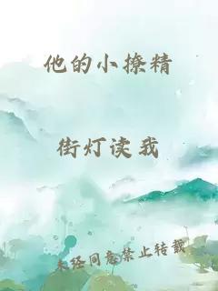 他的小撩精
