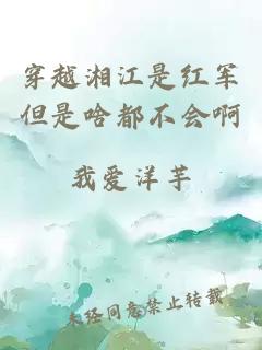 穿越湘江是红军但是啥都不会啊