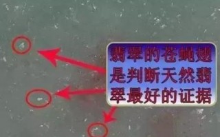 翡翠脸上都是苍蝇翅，不明白什么意思