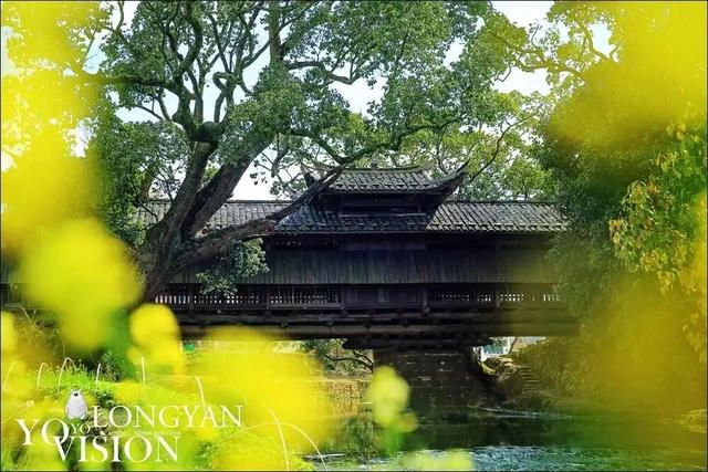 连城最新宣传片：九龙湖与竹安寨相连，畅游九龙湖或休闲好去处  第38张