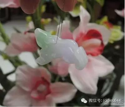 属兔的人配什么生肖的人合适  第8张