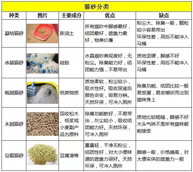 猫砂怎么选？猫砂选购攻略  第3张