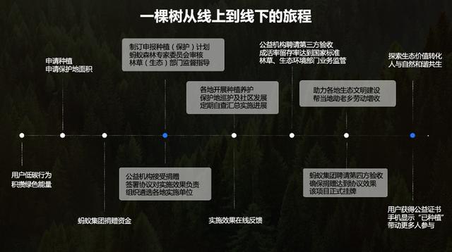 蚂蚁森林：一棵树如何从线上到线下？  第10张