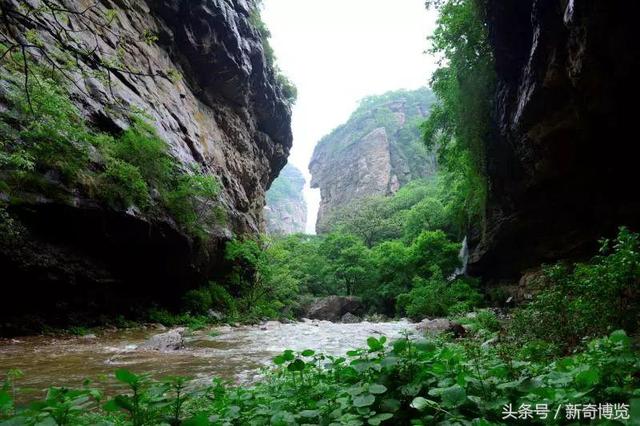 山西沁水历山风景区与沁水历山风景区谁好，沁水历山风景区谁好  第11张