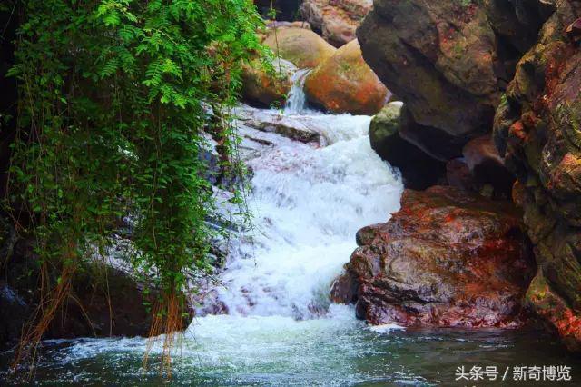 山西沁水历山风景区与沁水历山风景区谁好，沁水历山风景区谁好  第7张