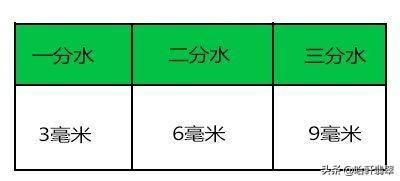 翡翠手镯的水头是什么意思，翡翠手镯的水头和透明度  第3张