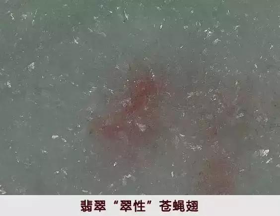 翡翠的“苍蝇翅&射光苍蝇翅&射光下观察大的翠性”  第3张