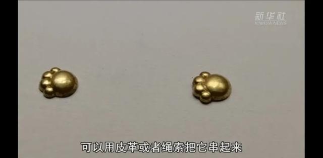 山西桓墓地出土5件猫爪形金饰，专家对北白鹅墓还有何发现  第2张