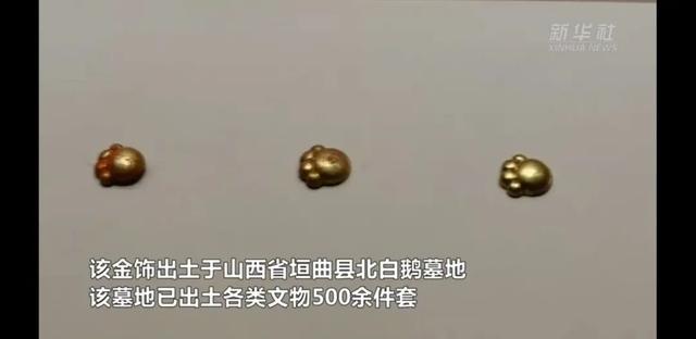 山西桓墓地出土5件猫爪形金饰，专家对北白鹅墓还有何发现  第3张