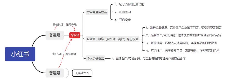 如何打造小红书爆红的内容运营，小红书企业号如何运营  第3张