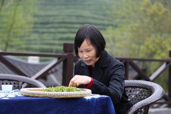 青海的熬茶为何香味独特？  第5张