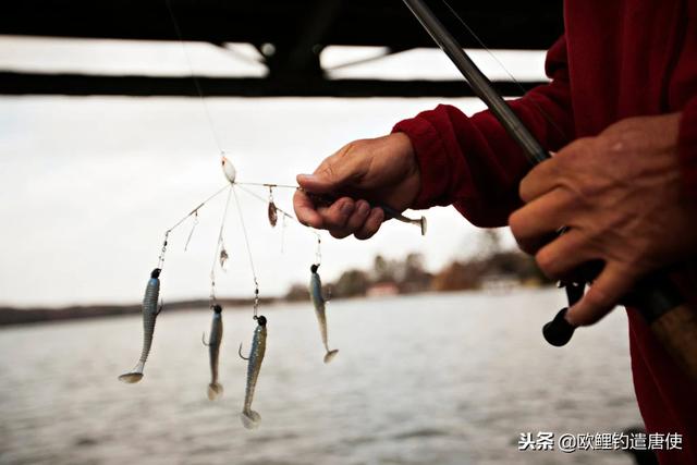 2019年钓鱼世界杯路亚类项目介绍2019年2月10日钓鱼世界杯路亚类项目介绍  第10张