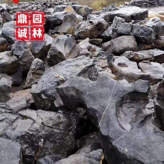 黑色宝石有哪些(黑色的宝石有哪些)  第3张