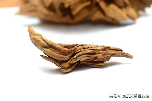 奇楠沉香茶(奇楠沉香有几种)  第1张