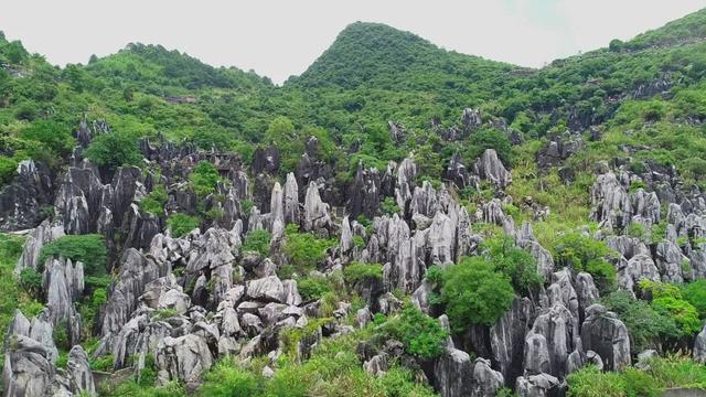 天然玉石有哪些(天然玉石图片)  第3张