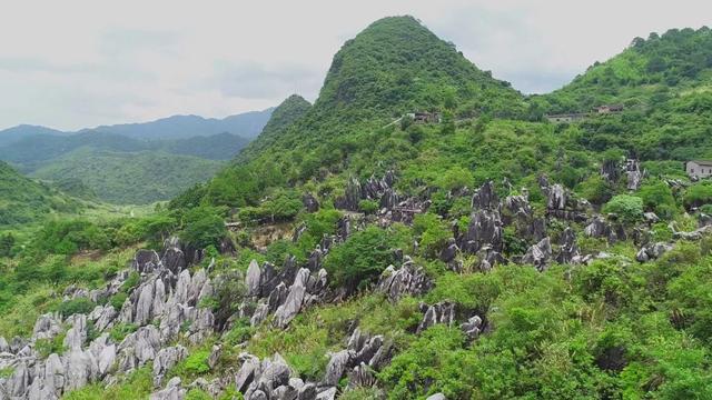 天然玉石有哪些(天然玉石图片)  第4张