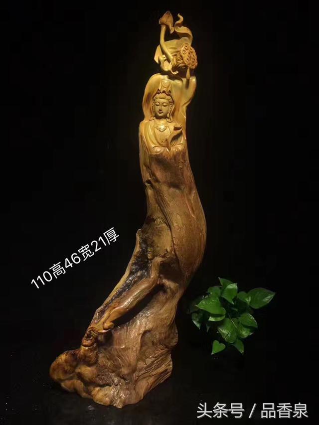 观音莲花座(观音莲开花是什么样子的)  第1张