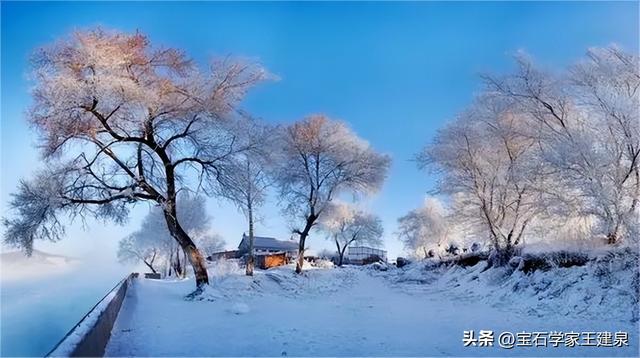 岫岩玉石王在哪里(鞍山岫岩玉石王)  第1张