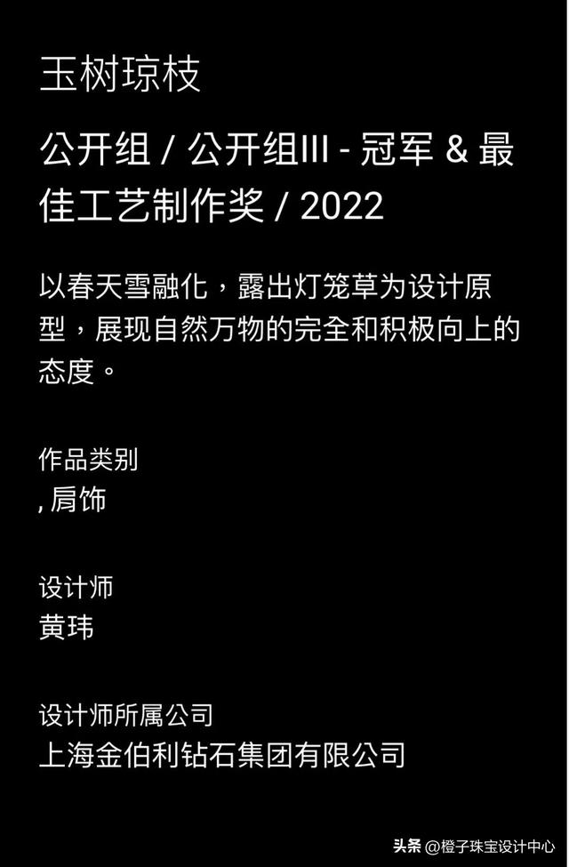 世界著名的珠宝设计学院(世界著名的珠宝设计学院)  第3张