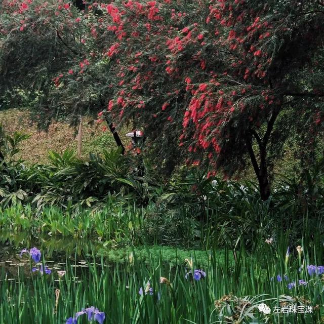 近40年的粉钻珠宝历史。,春日好时节，让我们一起感受于珠宝世界的繁花似锦吧~  第21张