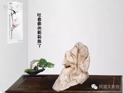 阿拉善戈壁石图片,阿拉善戈壁石是玛瑙吗  第17张