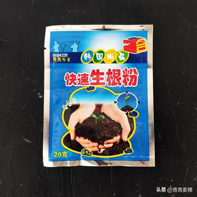 火山石有什么作用和功效,火山石的功效与作用