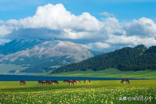 透闪石对人体有什么好处,透闪石是什么意思  第5张