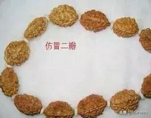 菩提子是什么东西,菩提代表啥意思  第8张