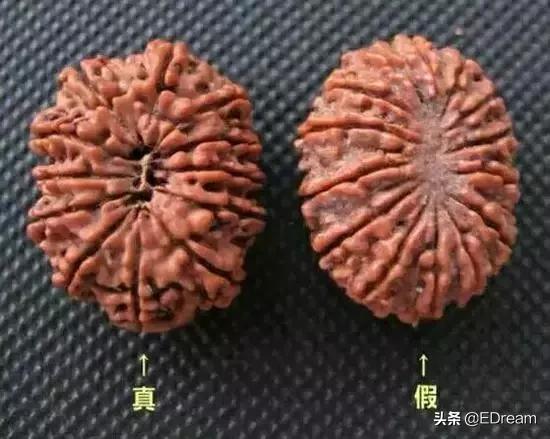 菩提子是什么东西,菩提代表啥意思  第16张