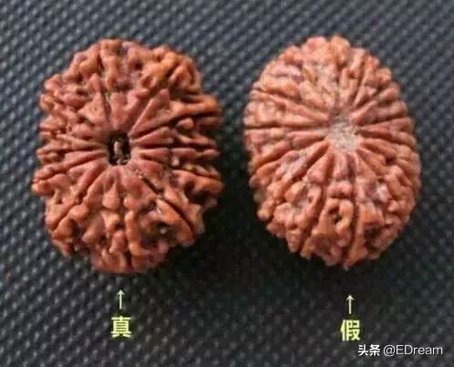 菩提子是什么东西,菩提代表啥意思  第17张