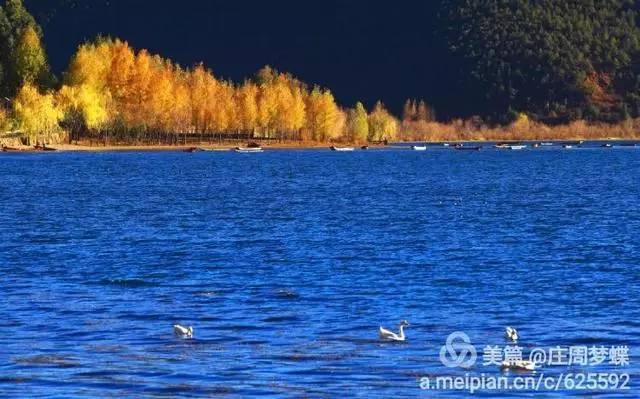 蓝色水晶有哪些,蓝色水晶图片大全