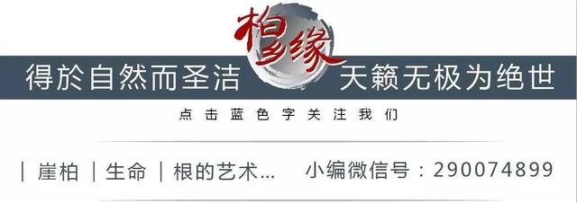 什么是崖柏,生长在哪,崖柏是啥  第1张