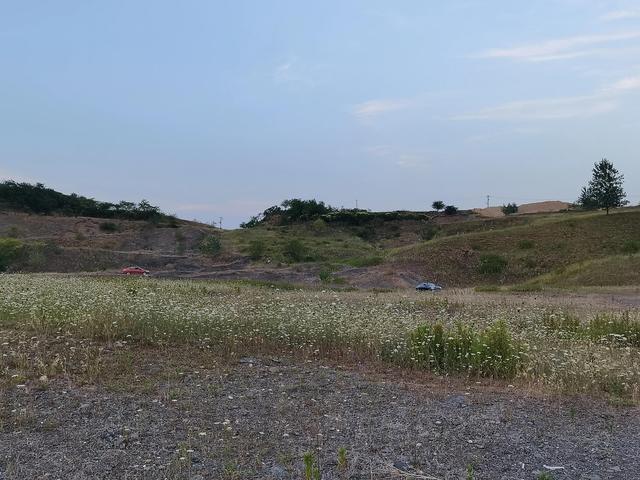 雨花石是什么岩石,雨花石是什么石头图片  第6张