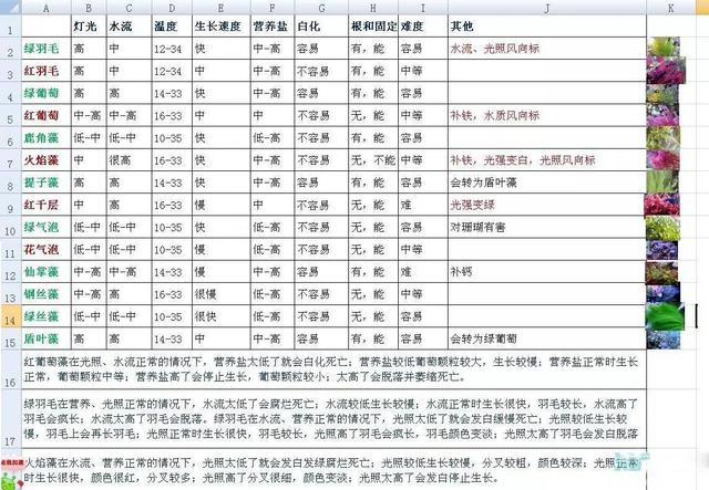 珍珠 荧光,买到珍珠表面有荧光  第7张