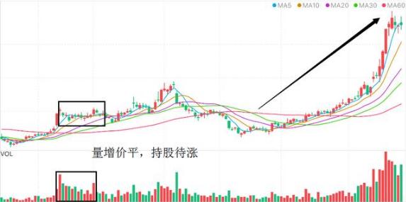 现货建仓是什么意思啊,现货建仓是什么