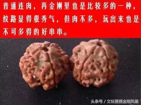 五星双龙纹大金刚,老树五星双龙金刚菩提  第2张