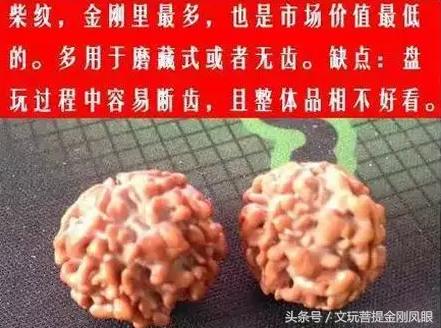 五星双龙纹大金刚,老树五星双龙金刚菩提  第1张