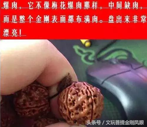 五星双龙纹大金刚,老树五星双龙金刚菩提  第4张