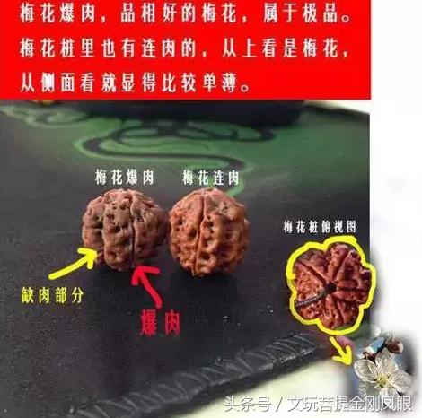 五星双龙纹大金刚,老树五星双龙金刚菩提  第5张