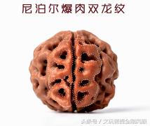 五星双龙纹大金刚,老树五星双龙金刚菩提  第7张