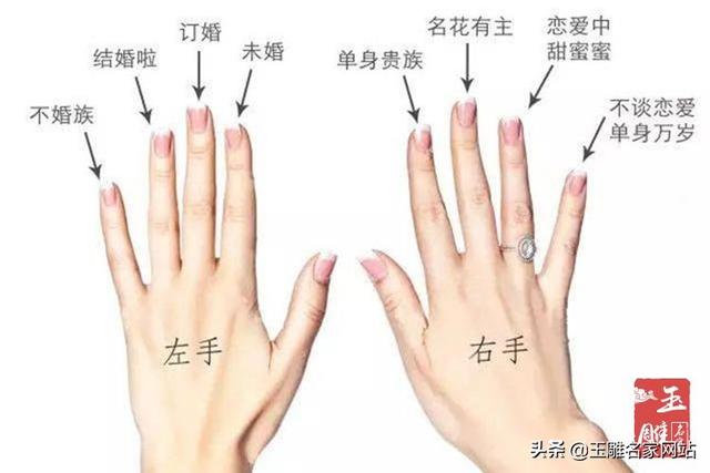 右手无名指代表啥,无名指所代表的含义