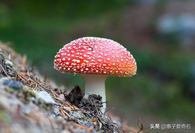 戴黑色头饰有什么禁忌吗,用黑色头饰有忌讳吗