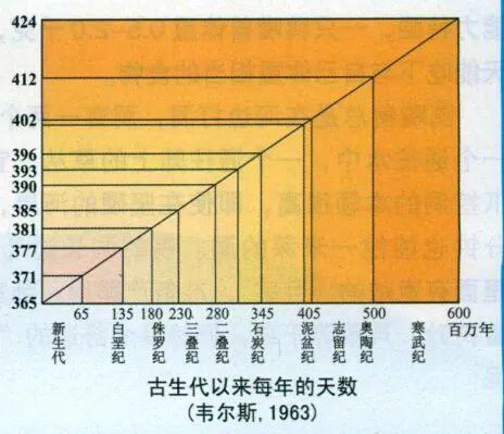 琥珀为什么有贝壳光泽,琥珀中为什么有贝壳光