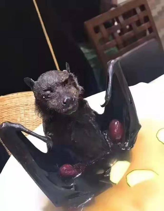 寿桃蝙蝠有什么含义吗,蝙蝠和寿桃是什么意思