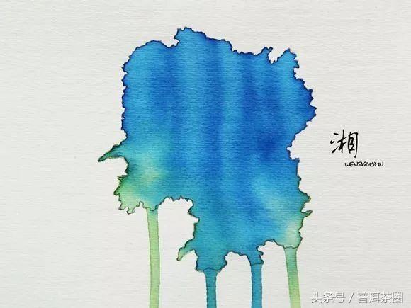 翠兰花是什么样子的,兰花的样子描写  第8张