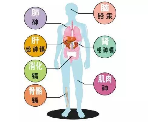 孔雀石啥样的好,哪种孔雀石的颜色好  第4张