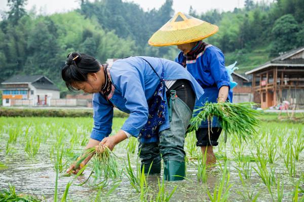 农行出什么黄金可以换,农行可以买卖黄金吗  第4张