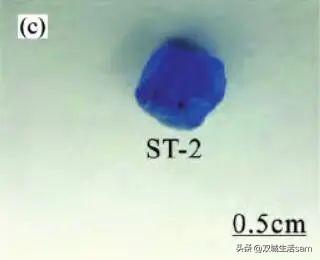 生长纹是啥颜色的,生长纹颜色是紫色的  第5张