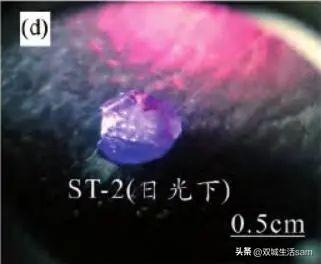 生长纹是啥颜色的,生长纹颜色是紫色的  第6张