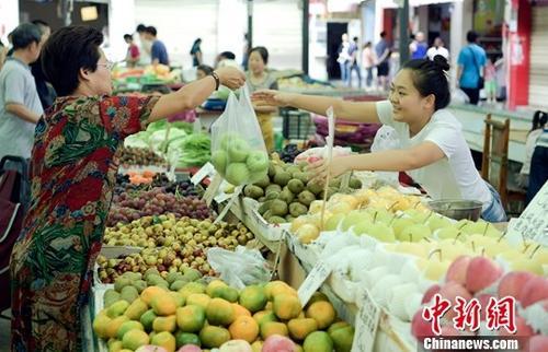 象牙 果冻料,象牙果粉是什么材质  第3张